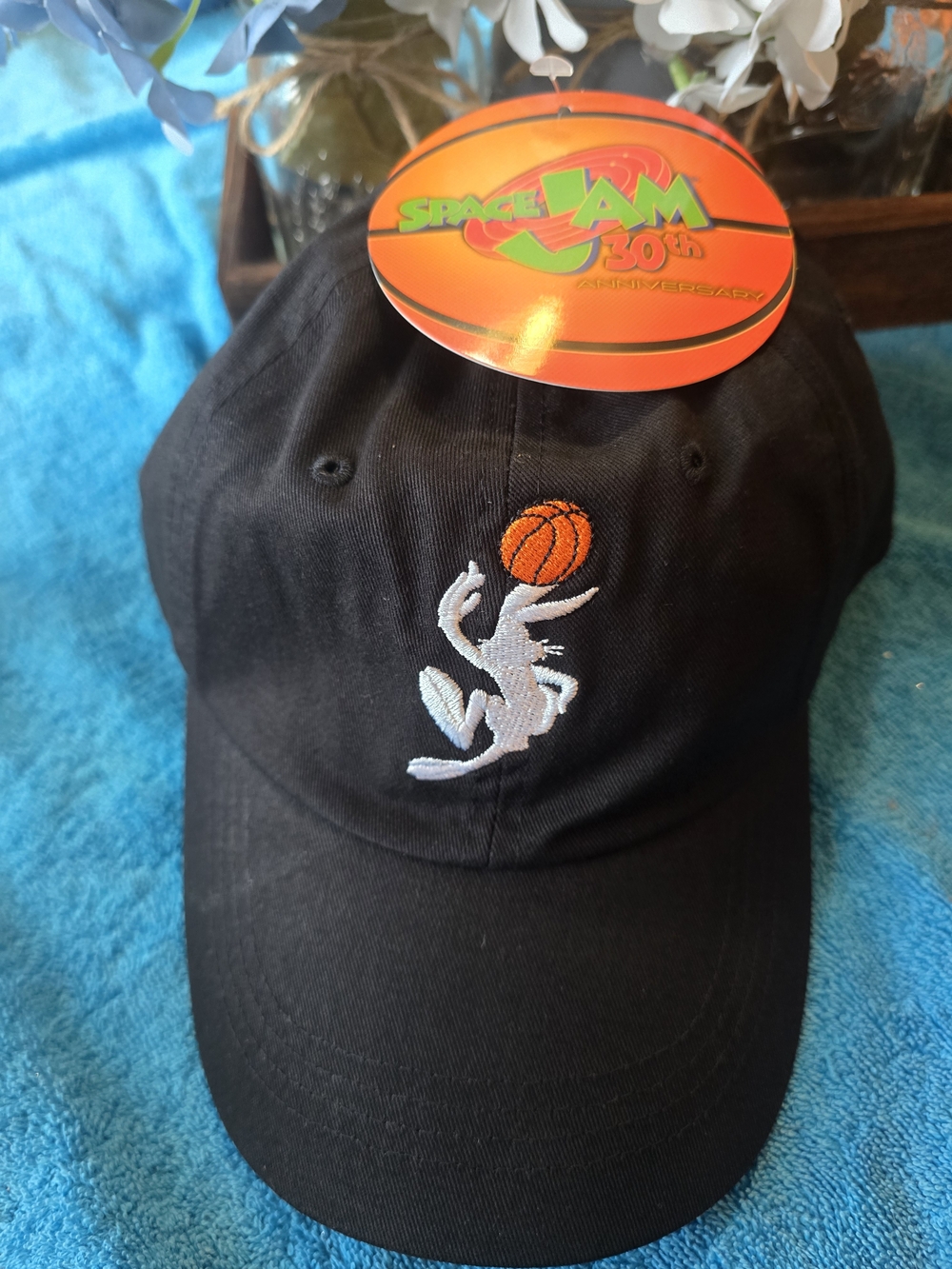 Space Jam 30th Anniversary Embroidered Basketball Hat NWT